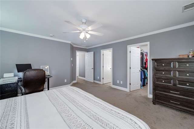 carpeted bedroom with ceiling fan, a walk in closet, ornamental molding, and a closet