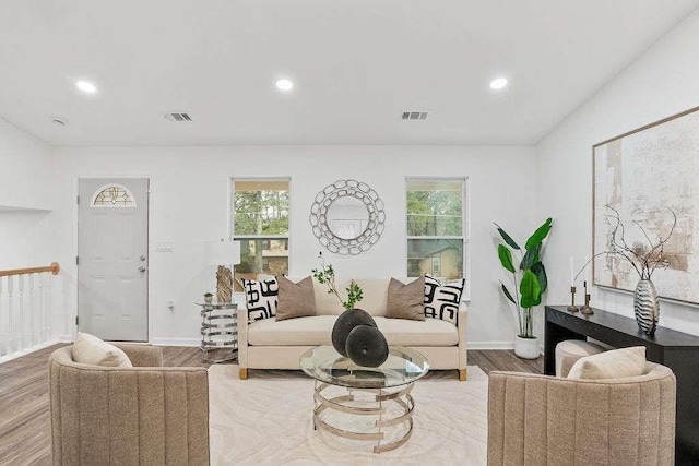 living room with light hardwood / wood-style flooring and plenty of natural light