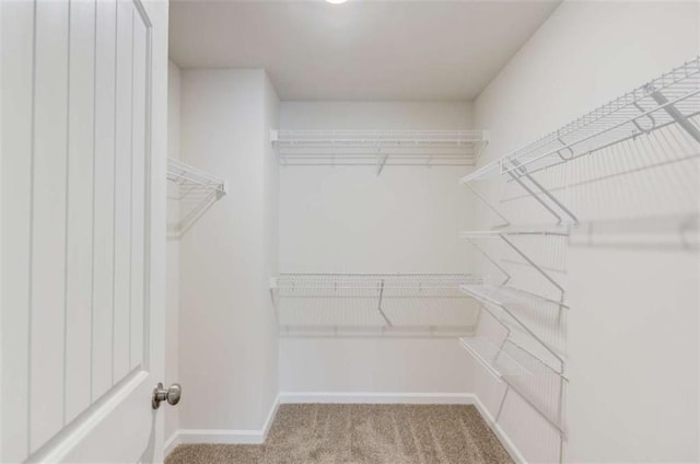 walk in closet with light colored carpet