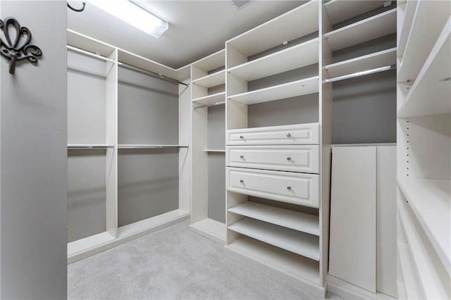 183 Applewood Ln, Acworth, GA 30101 - spacious closet with light carpet