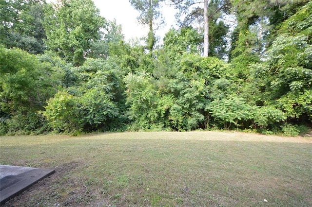 2307 Overlook Ave, Lithonia, GA 30058 - view of grassy yard
