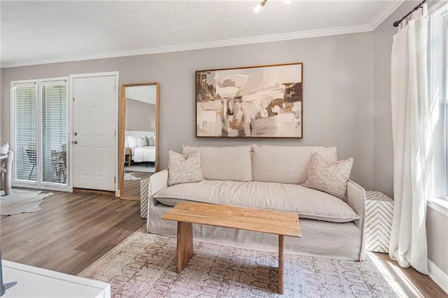 living room featuring wood finished floors and ornamental molding