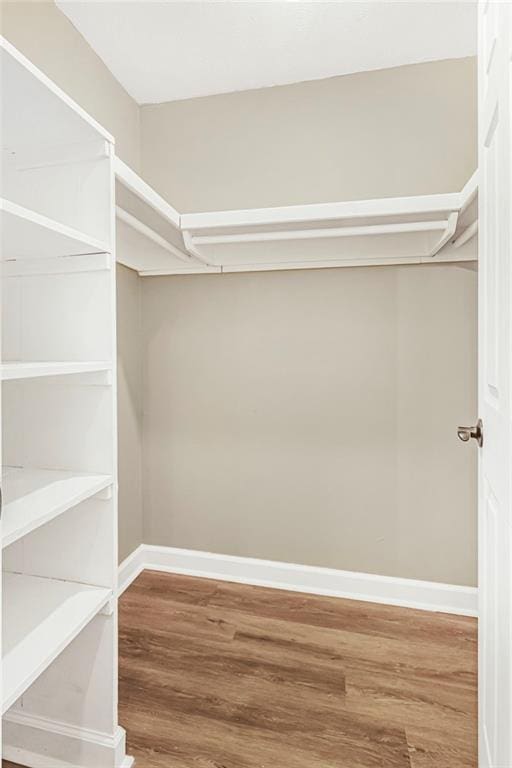 spacious closet featuring wood finished floors