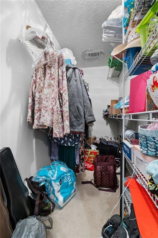 walk in closet featuring carpet floors