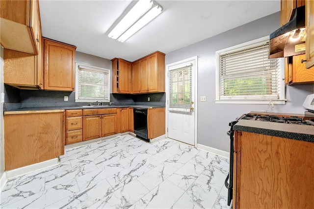 kitchen with sink, gas range oven, and dishwasher