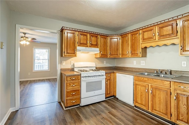 kitchen featuring brown cabinets, under cabinet range hood, a sink, white appliances, and dark wood-style flooring