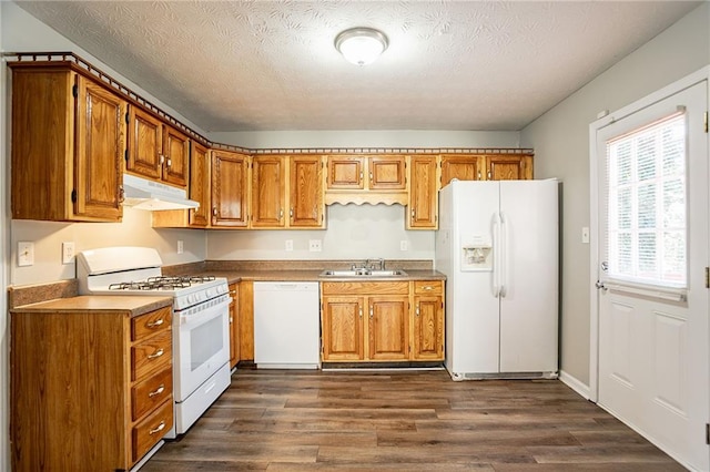 kitchen with white appliances, dark wood-type flooring, under cabinet range hood, and a sink