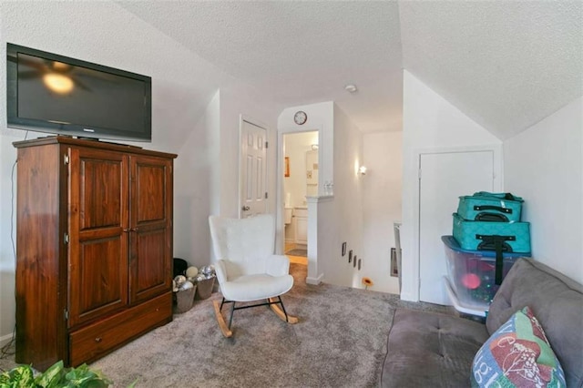 living area with vaulted ceiling, carpet floors, and a textured ceiling