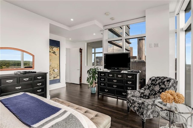 bedroom featuring multiple windows and dark hardwood / wood-style flooring