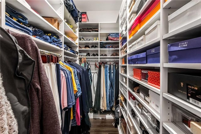 walk in closet featuring hardwood / wood-style flooring