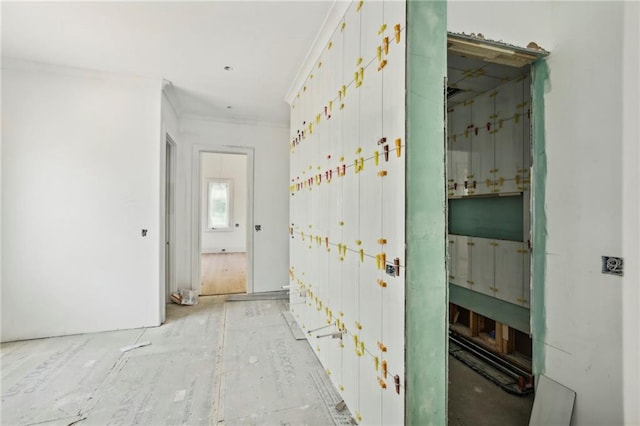 bathroom featuring crown molding