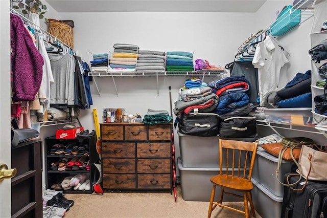 walk in closet with carpet floors