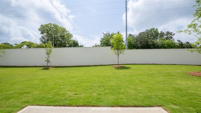 1514 Gatekeeper Ter, Marietta, GA 30066 - view of yard