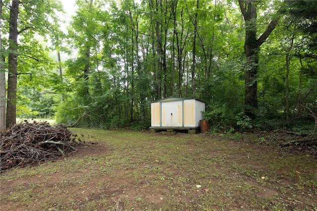 view of yard featuring a shed