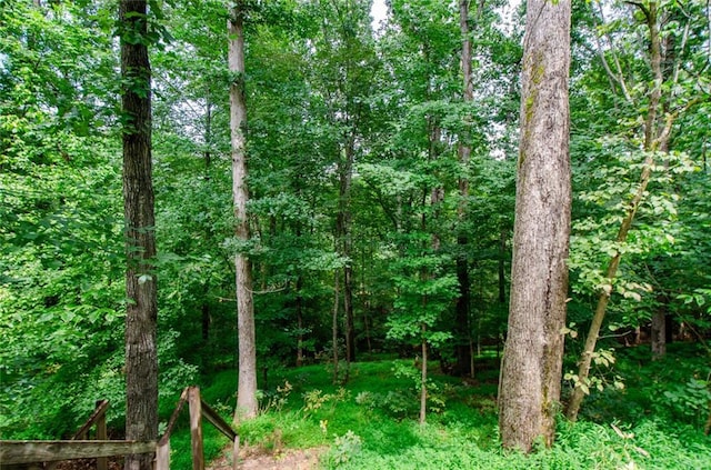 view of nature with a wooded view