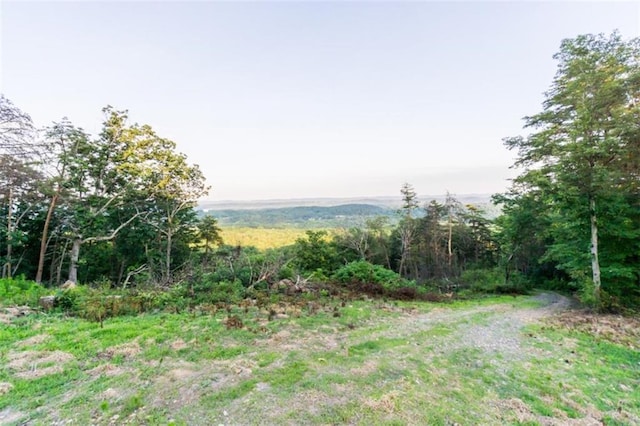 2400 Shinbone Ridge Rd, Lafayette, GA 30728