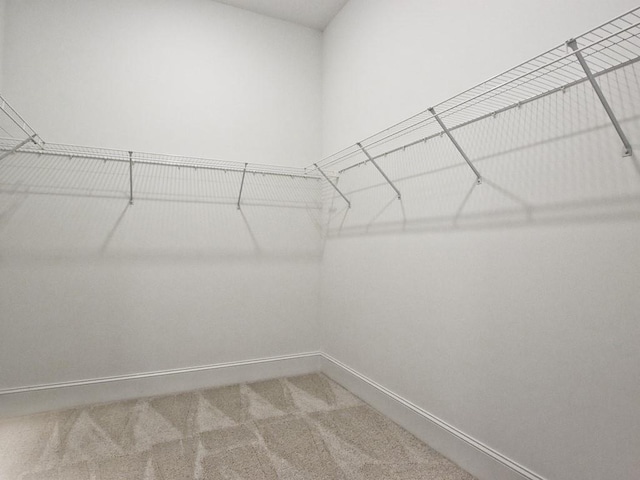 walk in closet with carpet floors