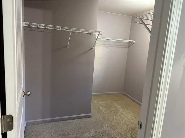 spacious closet with carpet flooring