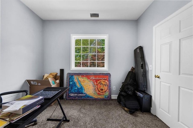 9035 Walnut Cove Ct, Gainesville, GA 30506 - office featuring carpet floors