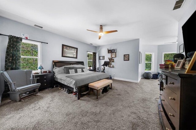 9035 Walnut Cove Ct, Gainesville, GA 30506 - carpeted bedroom featuring multiple windows, a ceiling fan, and baseboards