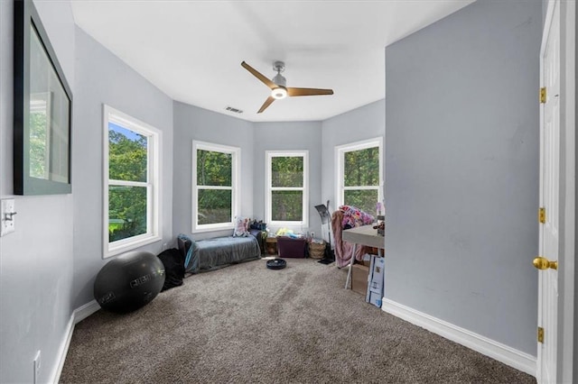 9035 Walnut Cove Ct, Gainesville, GA 30506 - playroom featuring carpet, healthy amount of natural light, and a ceiling fan