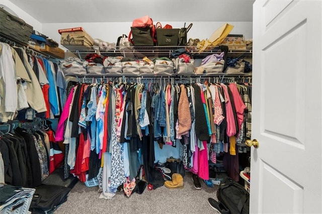 9035 Walnut Cove Ct, Gainesville, GA 30506 - walk in closet with carpet flooring