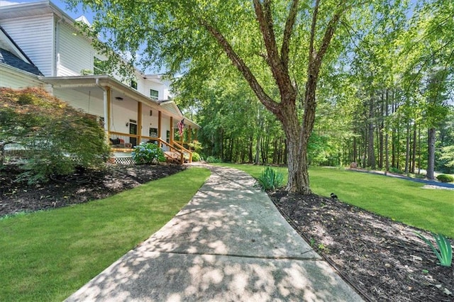 9035 Walnut Cove Ct, Gainesville, GA 30506 - view of property's community featuring a lawn