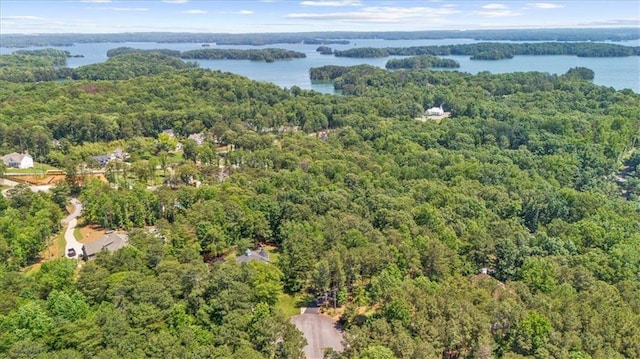 9035 Walnut Cove Ct, Gainesville, GA 30506 - aerial view of property and surrounding area featuring a heavily wooded area and a large body of water