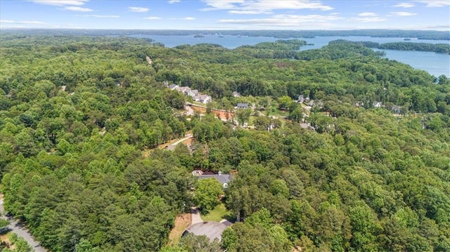 9035 Walnut Cove Ct, Gainesville, GA 30506 - aerial view of property's location featuring a forest and a nearby body of water