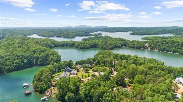 9035 Walnut Cove Ct, Gainesville, GA 30506 - aerial view of a heavily wooded area and a nearby body of water