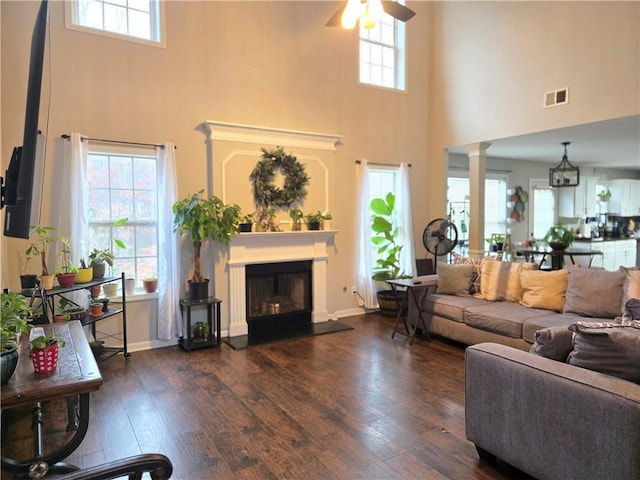 living area featuring a wealth of natural light and dark wood-style flooring