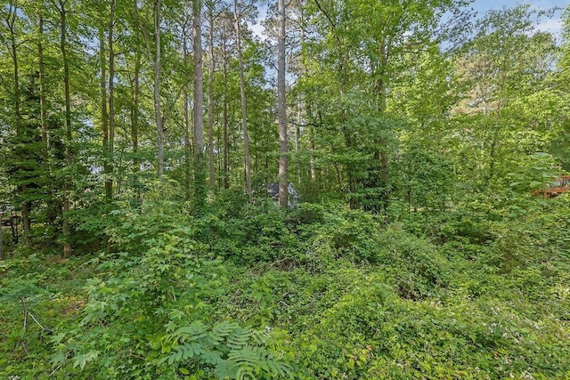 view of nature featuring a view of trees