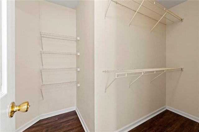 walk in closet with dark hardwood / wood-style floors