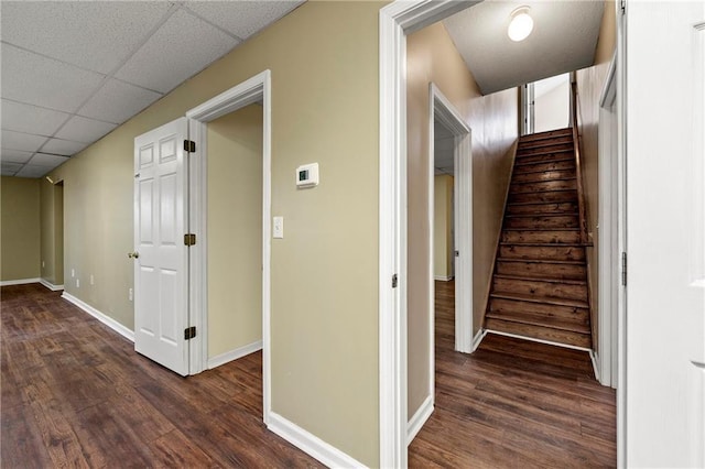 staircase with a drop ceiling and wood-type flooring