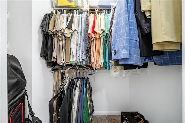 spacious closet with carpet