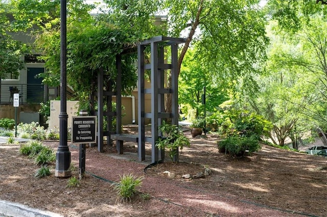 view of jungle gym