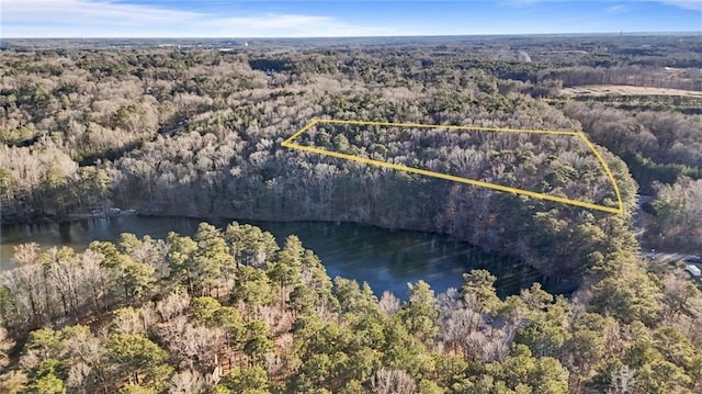 0 Lower Dixie Lake Rd, Union City GA, 30291 land for sale