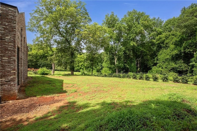 538 Main St, Palmetto, GA 30268 - view of yard