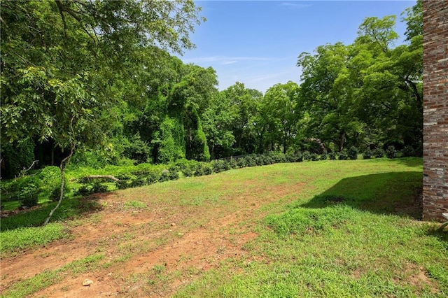 538 Main St, Palmetto, GA 30268 - view of grassy yard