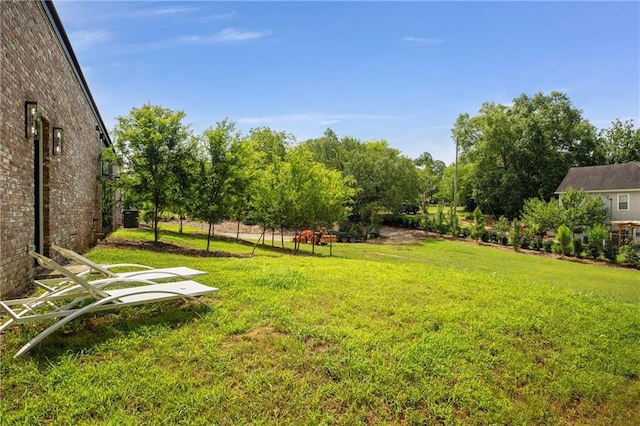 538 Main St, Palmetto, GA 30268 - view of grassy yard