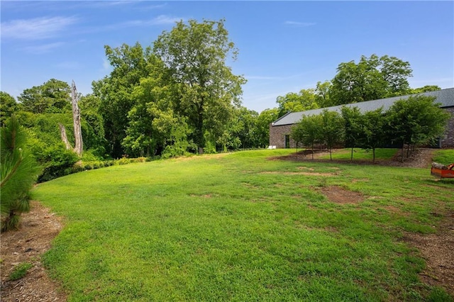 538 Main St, Palmetto, GA 30268 - view of grassy yard
