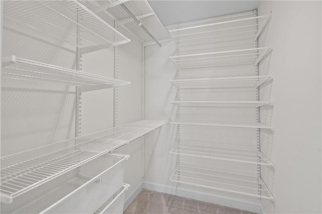 spacious closet with carpet floors