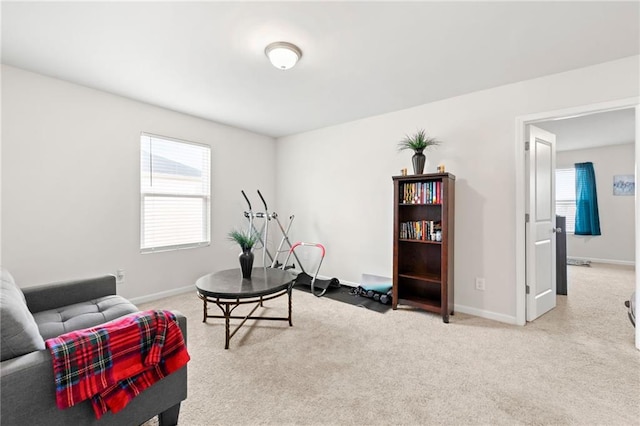 living area with light carpet