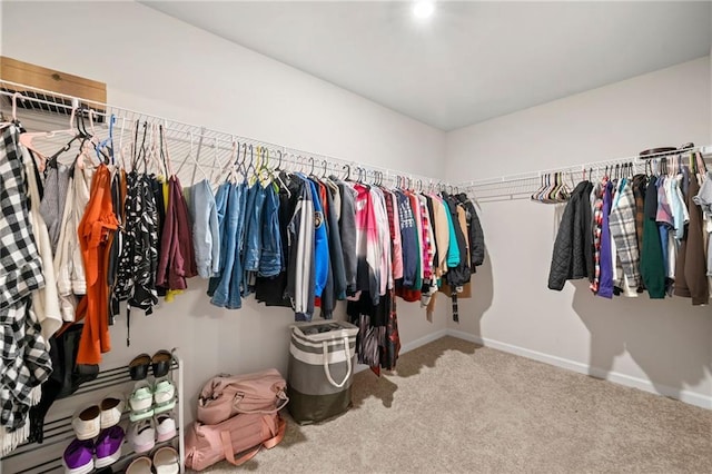 walk in closet with carpet floors