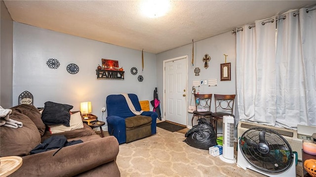 carpeted living room with a textured ceiling