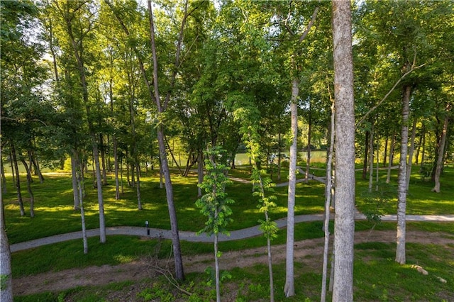 view of home's community with a yard