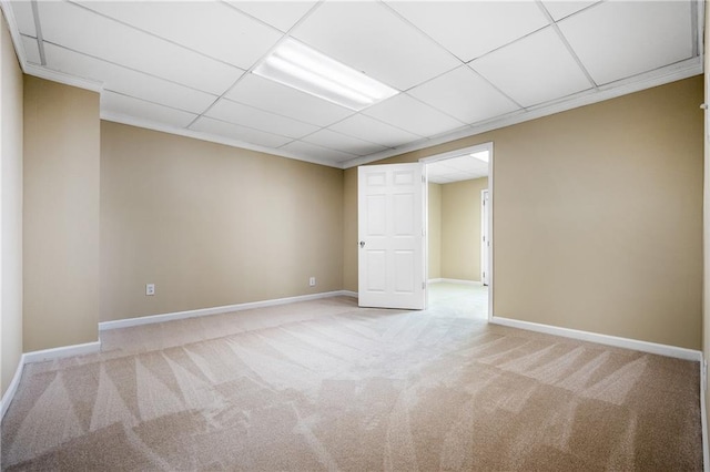 carpeted empty room featuring a drop ceiling and crown molding