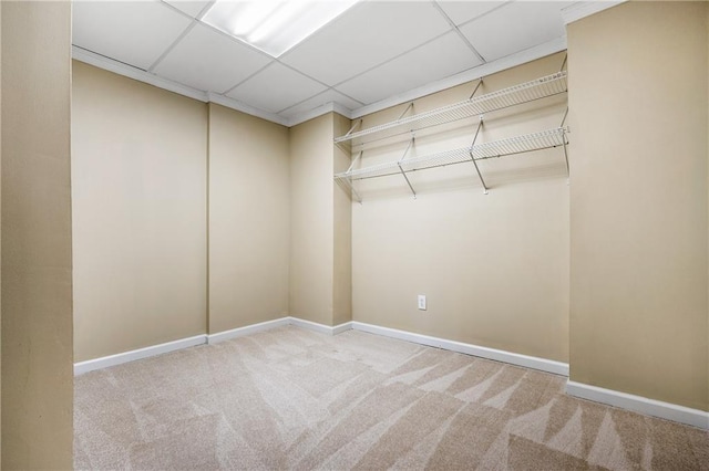 unfurnished room featuring light carpet and a paneled ceiling