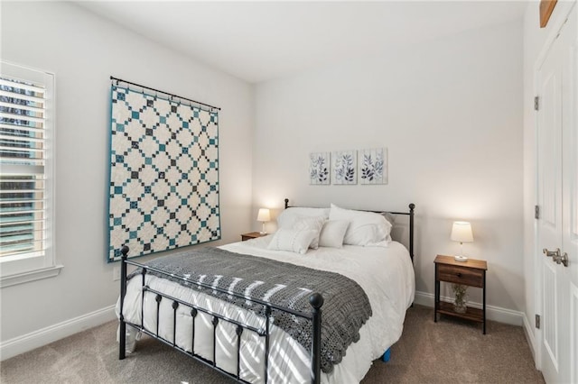 carpeted bedroom with baseboards and a closet