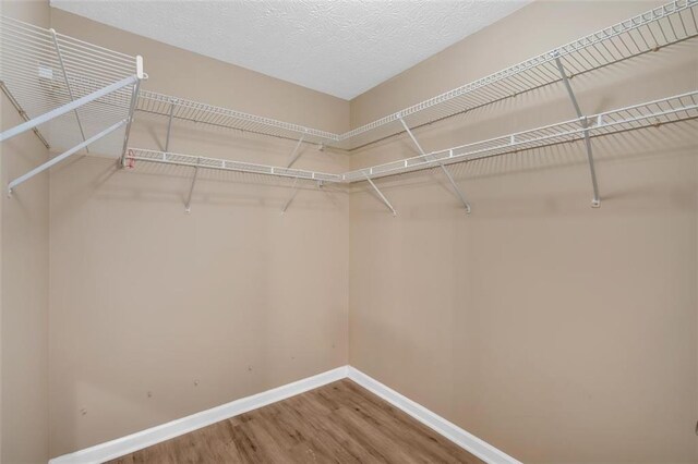 5705 Cannonero Dr, Alpharetta, GA 30005 - spare room with light wood-type flooring and crown molding